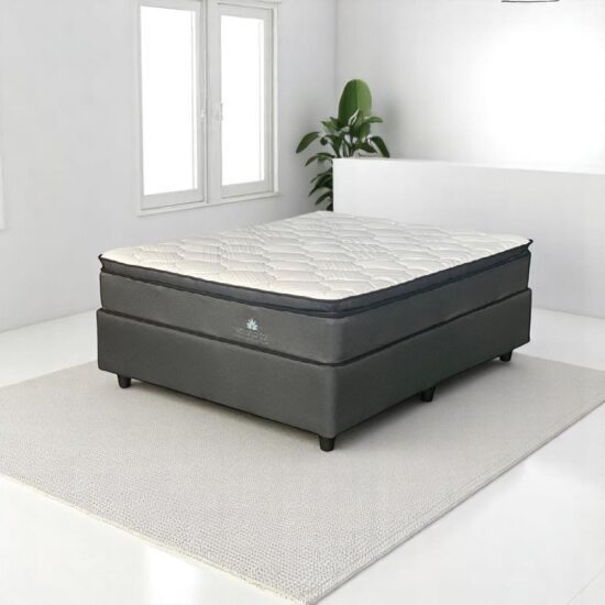 Wellness Coil Pillow Top Double Bed Set Standard Length